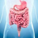 Digestive, Stomach & Intestinal Disorders